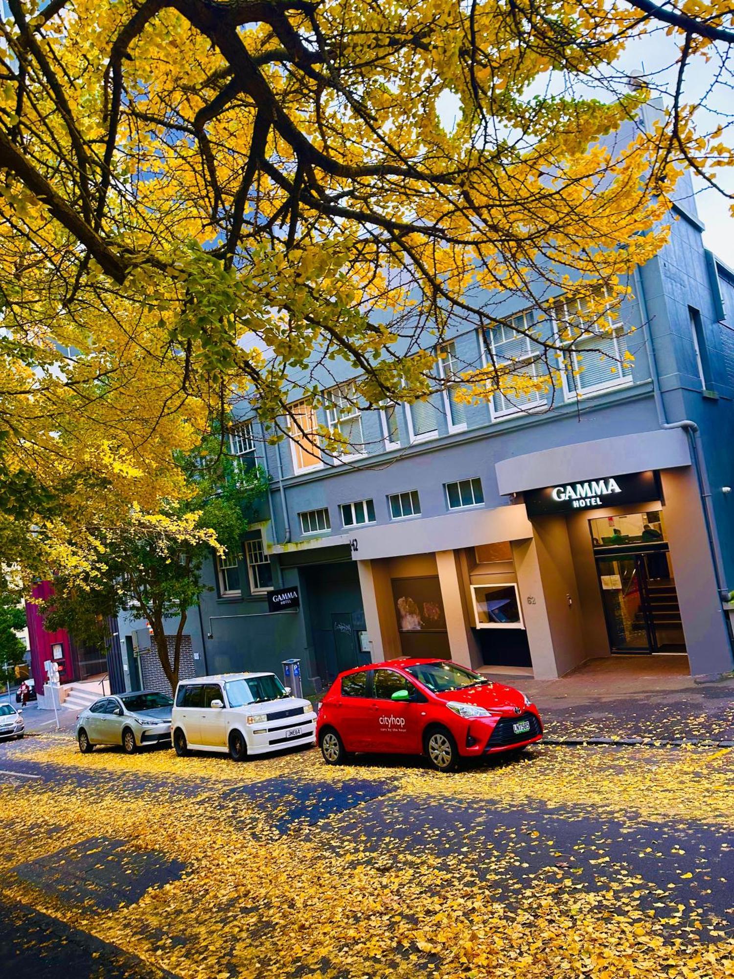 Gamma Hotel Auckland Exteriör bild